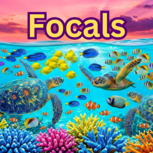 3D Focals