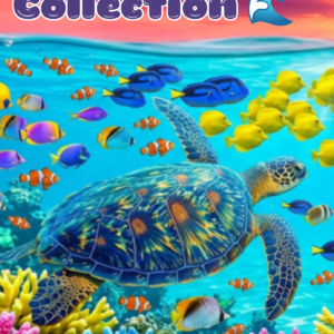 Sea 🌊 the day collection